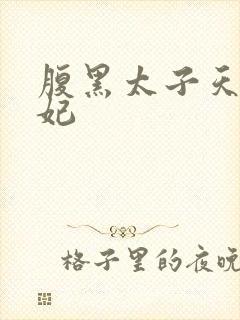 腹黑太子天降萌妃