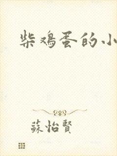 柴鸡蛋的小说