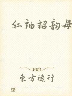 红袖招韵母攻略