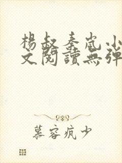 杨叔秦岚小说全文阅读无弹窗