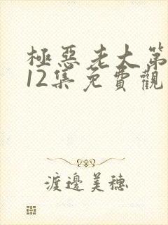 极恶老大第二季12集免费观看