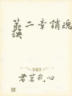 第二章销魂的交换