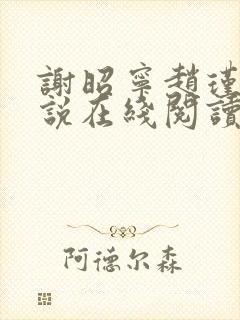 谢昭宁赵瑾的小说在线阅读