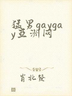 猛男gaygay亚洲网封面