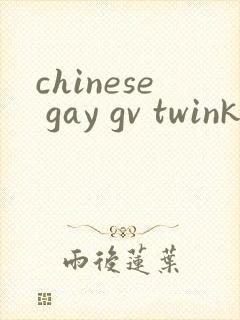 chinese gay gv twink tube封面