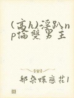 (高h)淫趴np伦双男主