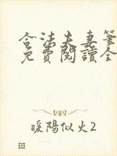 合法夫妻笔趣阁免费阅读全文