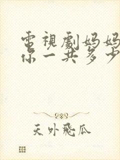 电视剧妈妈在等你一共多少集封面