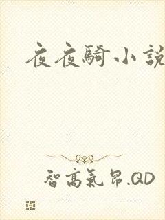 夜夜骑小说封面
