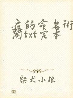 夜的命名术笔趣阁txt完本