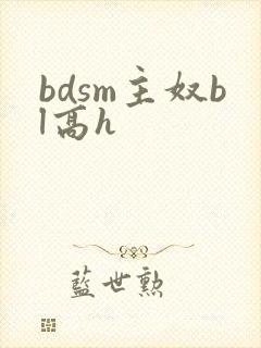 bdsm主奴bl高h