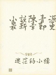 小说陈青源全文最新章节更新