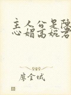 主人公是陈斌赵心媚高婉君小说