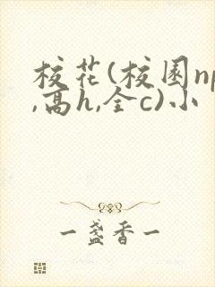 校花(校园np,高h,全c)小