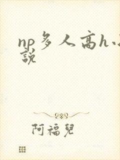np多人高h小说