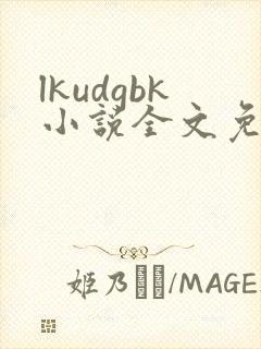lkudgbk小说全文免费阅读笔趣阁无弹窗封面