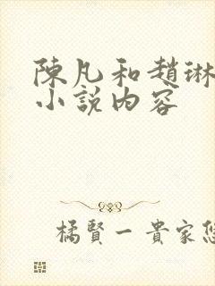 陈凡和赵琳琳的小说内容