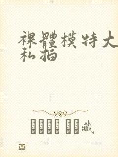 裸体模特大尺度私拍