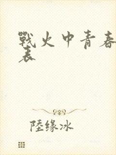 战火中青春演员表封面