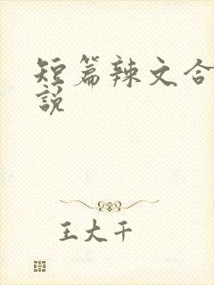 短篇辣文合集小说
