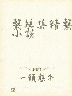 系统集精系统 小说