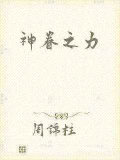 神眷之力封面