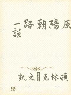 一路朝阳原著小说