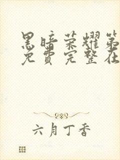 黑暗荣耀第二季免费完整在线观看封面