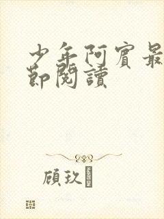 少年阿宾最新章节阅读封面