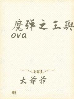 魔弹之王与战姬ova封面