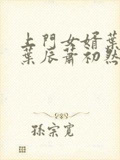 上门女婿叶辰 叶辰萧初然531