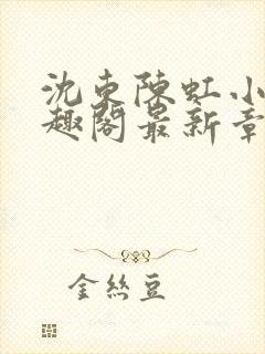 沈东陈虹小说笔趣阁最新章节更新封面