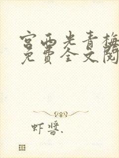 宫西光青梅竹马免费全文阅读笔趣阁