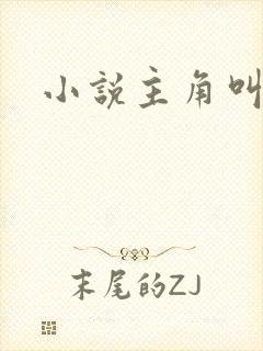 小说主角叫刘峰封面