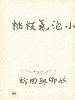 桃枝气泡小说封面