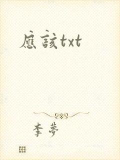 应该txt