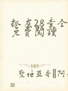 抓灰28章全部免费阅读封面