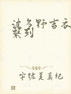 波多野吉衣人妻系列封面