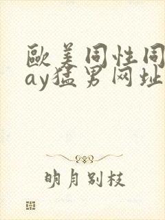 欧美同性同志gay猛男网址