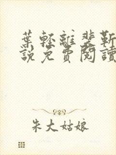 叶轻离裴靳墨小说免费阅读笔趣阁封面