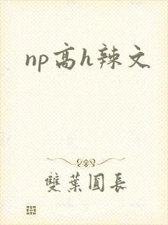 np高h辣文封面