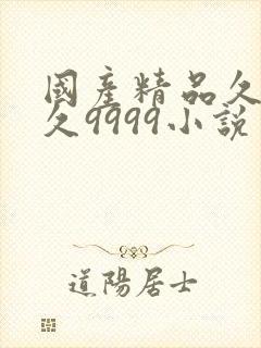 国产精品久久久久9999小说