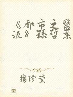 《都市之医武风流》孙哲叶巧朱颜