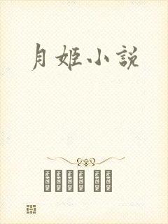 月姬小说封面