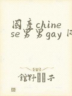 国产chinese男男gay 网站封面