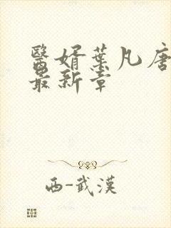 医婿叶凡唐若雪最新章