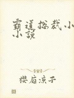 霸道总裁小娇妻小说封面