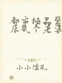 都市极品医神叶辰几个老婆