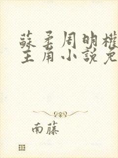 苏柔周明权赵刚主角小说免费阅读封面