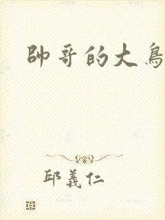 帅哥的大鸟